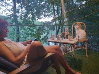 chalet sur pilotis en perigord - 8