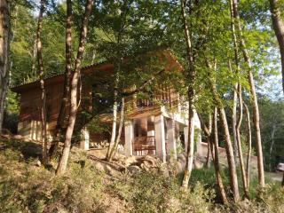 chalet sur pilotis en perigord - Carsac-Aillac - 6