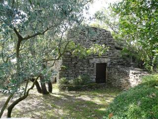 Spacious villa on two levels - Cabrières-dʼAvignon - 2