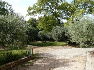Spacious villa on two levels - Cabrières-dʼAvignon - 1