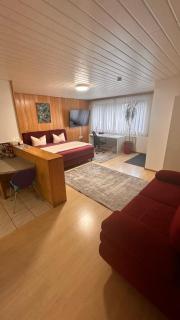 Haus Pia Executive Apartments - Friedrichshafen - 7