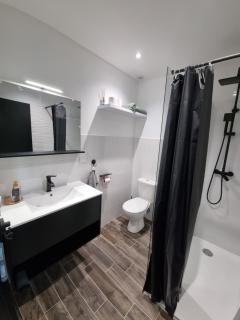 L'opale appartement entier bien placé Lourdes - Lourdes - 5
