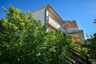Apartments and Rooms Frane - Palit - 0