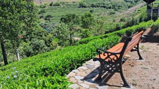 Heritage Farm Kerala - Idukki - 1