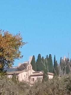 All'Ombra di San Damiano - Assisi - 5