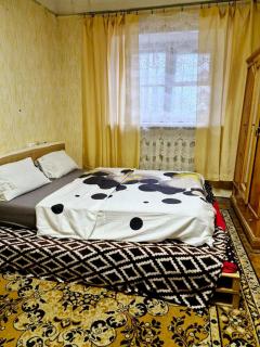 Центр,лік Мечнікова, парк Шевченко - Dnipro - 8