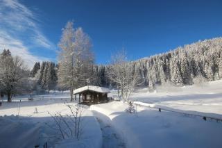 Gästehaus Seewald- Ferienwohnung 4 "Lärche", Schluchsee, Blasiwald - Schluchsee - 9