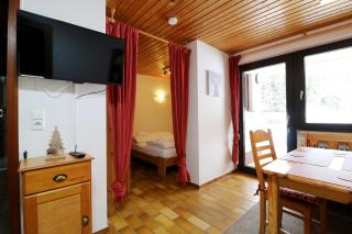 Gästehaus Seewald- Ferienwohnung 3 "Tanne", Schluchsee, Blasiwald - 7