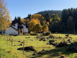 Gästehaus Seewald- Ferienwohnung 3 "Tanne", Schluchsee, Blasiwald - Schluchsee - 9