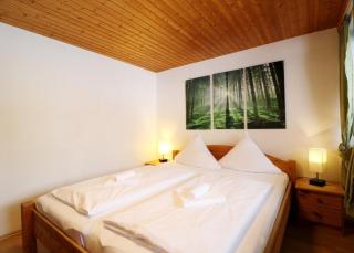 Gästehaus Seewald- Ferienwohnung 1 "Ahorn", Schluchsee, Blasiwald - Schluchsee - 7