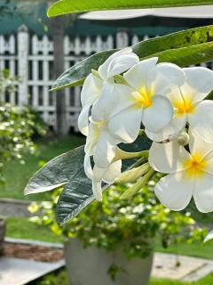 Villa Sunny Days - Hikkaduwa - 1