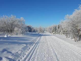 Ferienwohnung Cafe`Rotter , Brigitte und Jürgen Rotter - 9