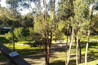 Purple House - corner spa, views and wildlife - Hepburn Springs - 9