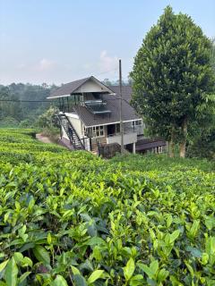 Nature's View Service Villa - Vythiri - 6