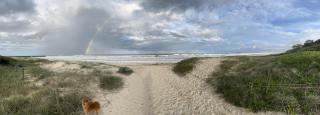Bruns Beach Garden Apartment - Central, Comfortable & Close to the beach - Brunswick Heads - 7