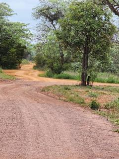 Verloren Lodge - Modimolle - 6