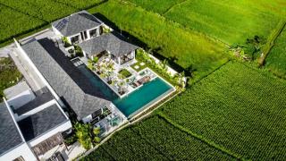 Vivalavida 6 BR Luxurious Villa RiceField View CYN - Ubud - 6