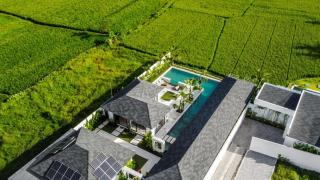 Vivalavida 6 BR Luxurious Villa RiceField View CYN - Ubud - 2