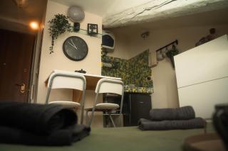 MOLE STUDIO GREEN - with iconic view of Turin - Torino - 4