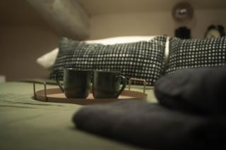 MOLE STUDIO GREEN - with iconic view of Turin - Torino - 8