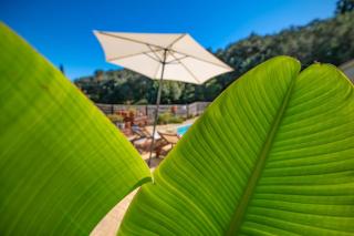 Villa Kambos Saint Stephanos - 7