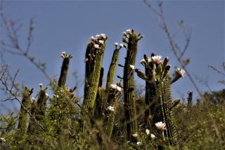 Las Valentinas Hospedaje de Montaña - Chilecito - 1