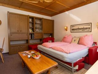Apartment Dachstein-4 by Interhome - Flachau - 5