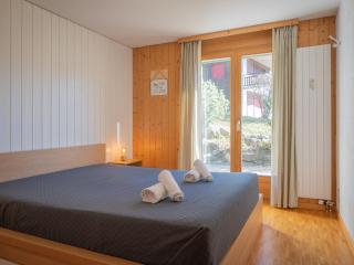 Apartment Seya 15 by Interhome - Ovronnaz - 9