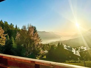 Apartment Les Renardeaux 5 by Interhome - Crans-Montana - 0