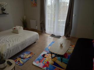 C101 Appartement DisneyLand Montevrain - Montévrain - 6