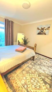 Abbey Lodge - Ardara - 1