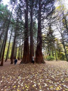 Апартамент за гости ''ЗДРАВЕ'' - 4