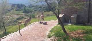 Riverbank - Tulbagh - 4