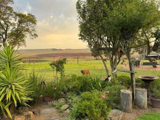 Echo Valley Guest Farm - Breyten - 9