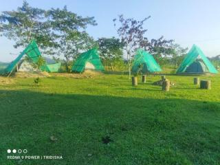 Fesengbor eco camp - Kāziranga - 2