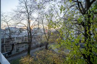 Spodek Stylish Apartment - Katowice - 7