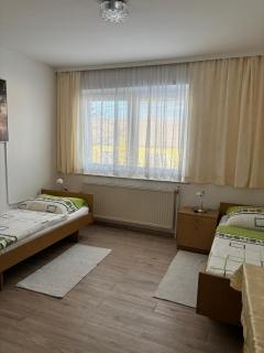 Pension Eicher - Schwechat - 3