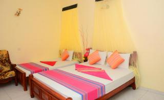 Tissa Rainbow Guest & Yala - 7