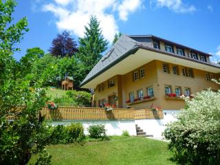 Berghof Almzeit - Fewo "Hüsli", Sauna, Todtnauberg, Feldberg - Todtnauberg - 0