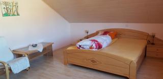 Ferienwohnung Karin - Eltmann - 3