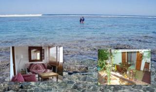 Les Aigrettes, jardin & parking privés, plage à 100m, commerces à 5 min à pieds - Saint-Gilles-les-Bains - 8