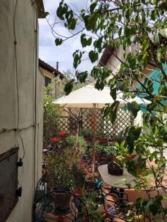 Apartment - Studio Anthurium - Firenze - 2