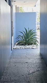 Beachfront Studio Sanctuary - Luquillo - 7