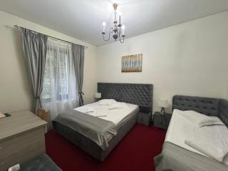 Hotel Stavilar - Sinaia - 2
