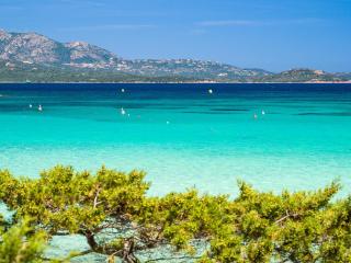 Caletta Nest 108 - Porto Rotondo - 6