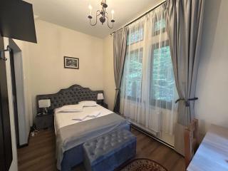 Hotel Stavilar - Sinaia - 3