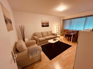 3-Room Apartment for Business Travelers & Families, Free WiFi & TV with 70 Countries, DAZN, Sky, Netflix & Disney - Wynau - 9