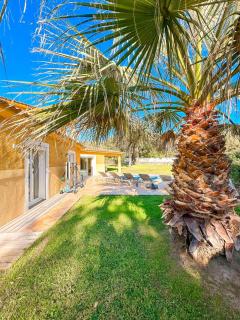 Villa Amaredda - Sainte-Lucie de Porto-Vecchio - 4