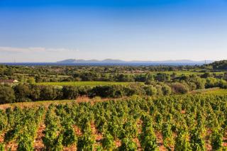 Villa Paquerette pour 10 personnes avec piscine chauffée au Domaine de Valcros à la Londe-Les-Maures - La Londe-les-Maures - 7