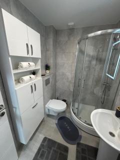 Apartman Stoiljkovic Vrnjacka Banja - Vrnjci - 3